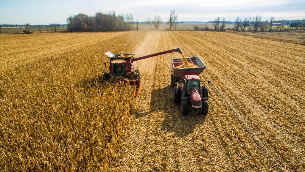 Recent Tax Court Case Clarifies R&D Credit Eligibility in Agriculture